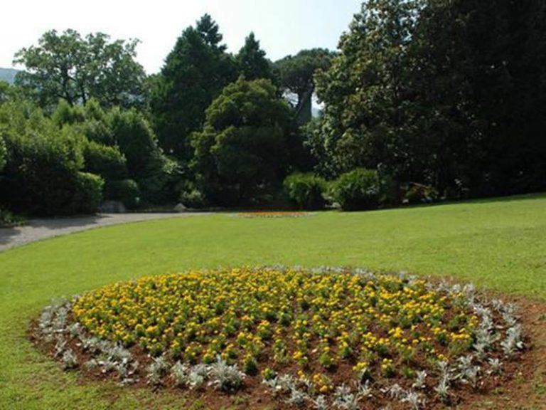 park-margarita